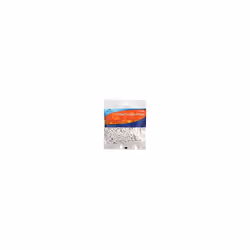 White 100 Piece Curtain Hooks - Plastic Nylon Track Pack Ashley - curtain hooks 100 white plastic nylon track pack piece ash ...