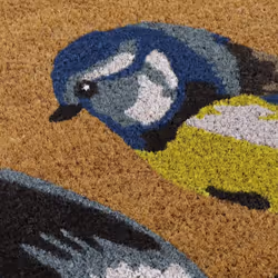 Eco-Friendly Latex Backed Coir Door Mat, Birds