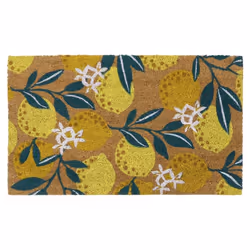 Eco-Friendly Latex Backed Coir Door Mat, Lemons