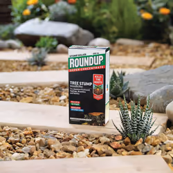Scotts Miracle-Gro Roundup Tree Stump and Root Killer 250 ml Liquid Concentrate Weedkiller