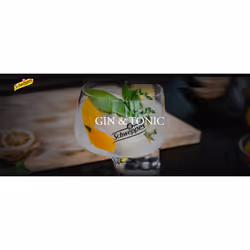 Schweppes Slimline Tonic Water 24 x 150ml Cans