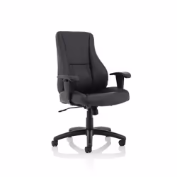 A highly supportive executive/ergo armchair ideal for top level users who want the support often only found in task or operat ...