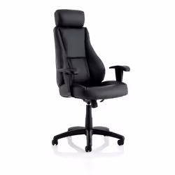 A highly supportive executive/ergo armchair ideal for top level users who want the support often only found in task or operat ...