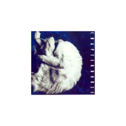 Wilson Mari  The Rhythm Romance CD