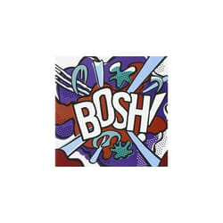Quiet Boys the  Bosh CD