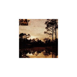 Silver Jews : Starlite Walker CD (2000)
