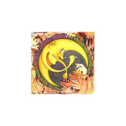 Gorkys Zygotic Mynci  If Fingers Were Xylophones  Moon Beats CD