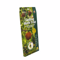 Codling Apple & Pear Moth Trap - Agralan M53 Pheromone - trap codling moth agralan m53 pheromone apple