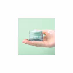 Fresh Face Skin Hydrating Moisturiser | With Cucumber Fruit, Green Tea Extracts and Shea Butter