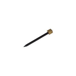 Securit S6205 Brass Headed Picture Pins Pack Of 6