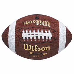 Wilson NFL Micro Size American Football Outdoor Play Training Practice Ball (2020)