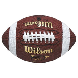 Wilson NFL Micro Size American Football Outdoor Play Training Practice Ball (2020)