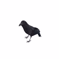 Smiffy's 13-inch Crow Feathered Realistic - Black - Smiffys 13inch Fancy Dress - crow black smiffys feathered realistic 13in ...