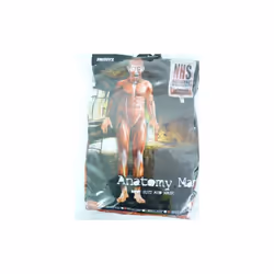 Medium Men's Anatomy Costume -  anatomy costume man fancy dress second skin halloween mens suit muscle body adult bodysuit ho ...