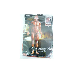 Medium Men's Anatomy Costume -  anatomy costume man fancy dress second skin halloween mens suit muscle body adult bodysuit horror