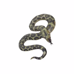 Smiffy's 180cm Snake, Looks Like A Python, Rubber - snake fancy dress halloween accessories costume python unisex