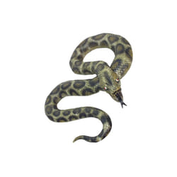 Smiffy's 180cm Snake, Looks Like A Python, Rubber -  snake fancy dress halloween accessories costume python unisex