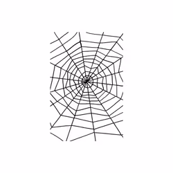 Smiffy's Large Spider Web With Spider - Web Halloween Spider Fancy Dress - web halloween spider fancy dress spiders party co ...