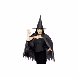 Black Ladies Witch Instant Kit - instant witch fancy dress set kit halloween costume cape hat nose ladies adult accessory sm ...