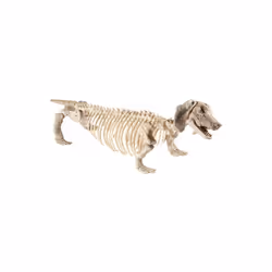 Smiffy's 46909 Dachshund Dog Skeleton Prop (one Size) - Daschund -  daschund dog skeleton prop
