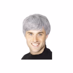 Smiffy's Corporate Wig - Grey -  wig corporate grey mens fancy dress smiffys costume father ted old man short