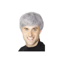 Smiffy's Corporate Wig - Grey -  wig corporate grey mens fancy dress smiffys costume father ted old man short