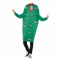 Cactus Costume, Hawaiian Luau Fancy Dress, One Size