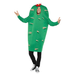 Cactus Costume, Hawaiian Luau Fancy Dress, One Size