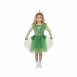 Girls St Patrick's Day Glitter Fairy Fancy Dress Costume Age 4-6