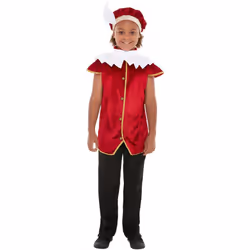 Childrens Boys Tudor Fancy Dress Kit