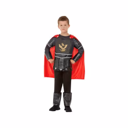 Boys Deluxe Knight Fancy Dress Costume Age 4-6