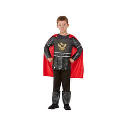 Boys Deluxe Knight Fancy Dress Costume Age 4-6
