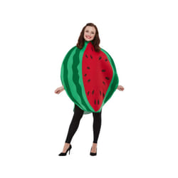 Adults Watermelon Fancy Dress Costume (One Size)