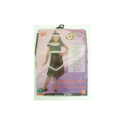 Small Brown Girls Indian Girl Costume - Dress Fancy Outfit Childrens Smiffys -  costume indian dress girl fancy outfit childrens smiffys book native