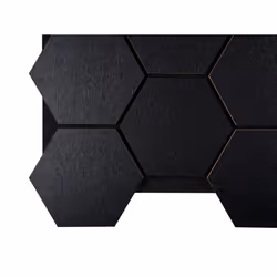 Fuse Acoustic Wooden Hexagon Wall Panel in Black Oak