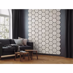 Fuse Acoustic Wooden Hexagon Wall Panel in White Oak