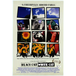 Artificial Eye Black Cat White Cat (1998) DVD Multilingual
