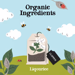 Organic Liquorice Tea Bags | 120 Infusion Liquorice Root Teabag Sachets (6 x Boxes of 20) | Bulk Buy for Home & Catering | Caffeine-Free Herbal Tea