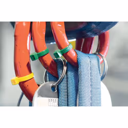 Hellermann Tyton T50L cable tie Polyamide Red 100 pc(s)