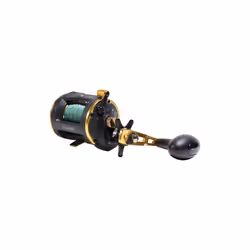Icon 20 LB Boat Multiplier Fishing Reels