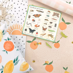 Tutti Fruity Wallpaper Soft Coral / Orange Holden 13271