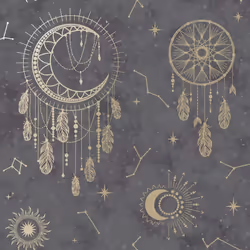 Holden Decor Dreamcatcher Black Gold Wallpaper Stars Constellation Metallic