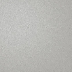 Holden Decor Opus Alocasia Allora Texture Grey Wallpaper 36031