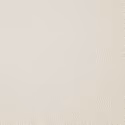 Holden Decor Opus Alocasia Allora Texture Cream Wallpaper 36032