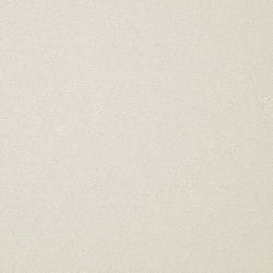 Holden Decor Opus Alocasia Allora Texture Cream Wallpaper 36032