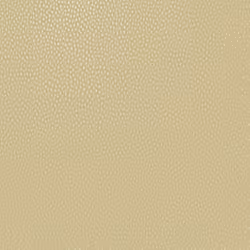 Holden Decor Pinto Ochre Wallpaper 36140