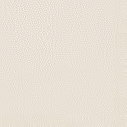 Holden Decor Pinto Cream Wallpaper 36144