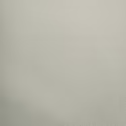 Holden Decor Opus Alocasia Allora Texture Sage Wallpaper 36260