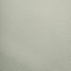 Holden Decor Opus Alocasia Allora Texture Sage Wallpaper 36260