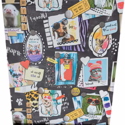 Holden Pets Gone Wild Dogs Cats Piglet Frames Hearts Rabbits Wallpaper